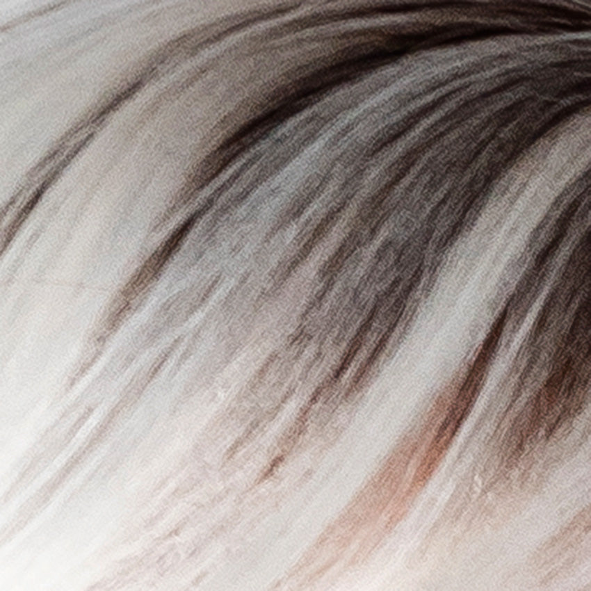 Platinum Rooted (100+8)