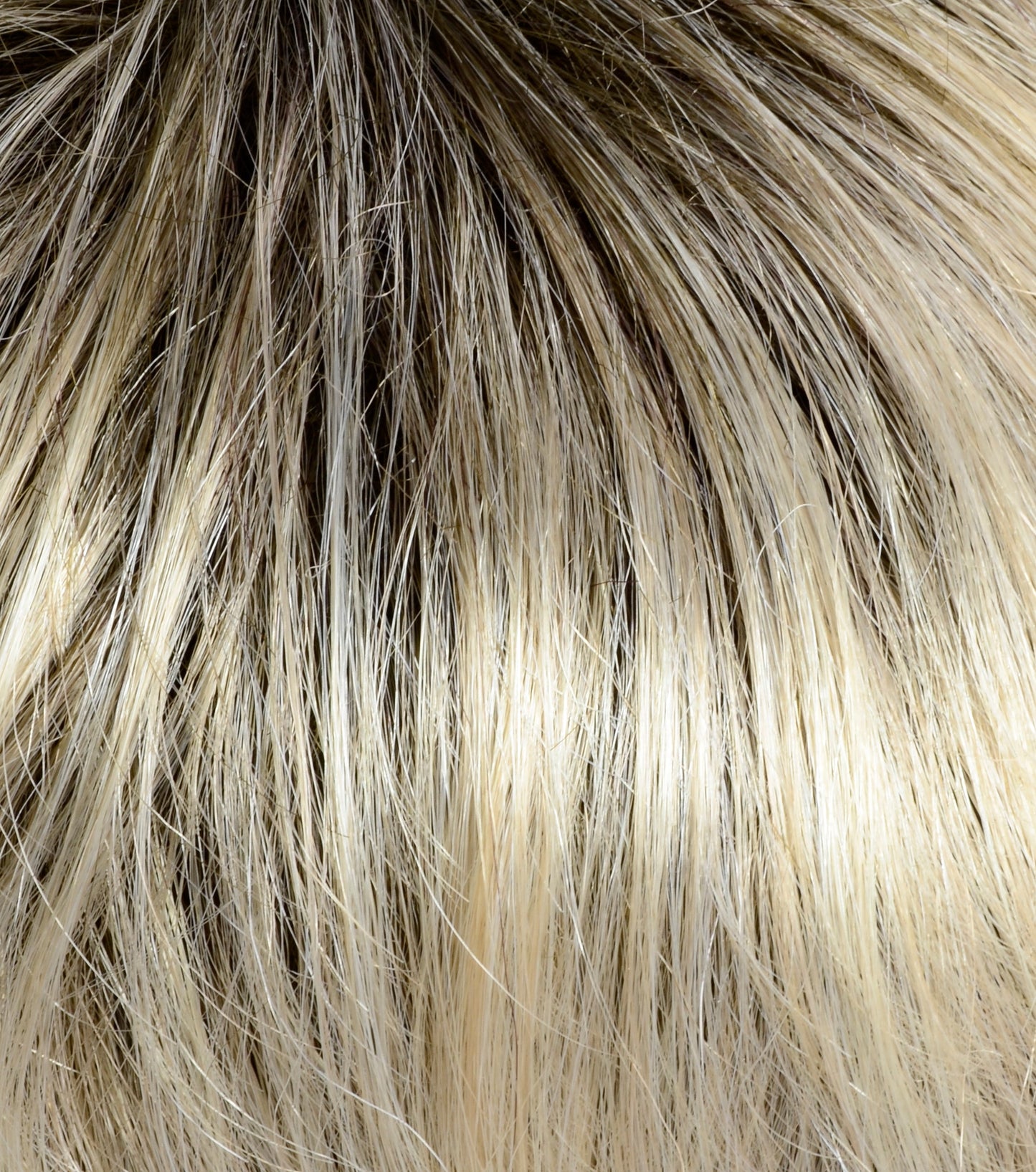 New Champagne Multi Rooted